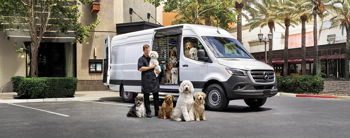 Dog groomer standing with multiple dogs next to a Mercedes-Benz Sprinter van