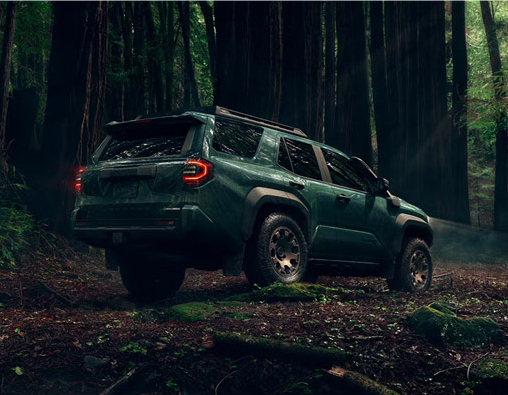 green Toyota 4Runner SUV parked among towering trees in a forest environment