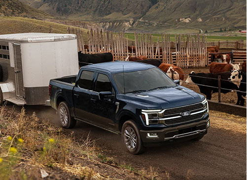 Ford F-150 towing a livestock trailer through a working ranch environment, showcasing strength, durability, and real-world utility