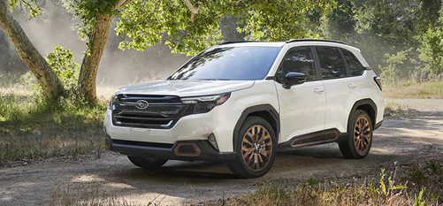 Subaru Forester SUV parked on a forest trail