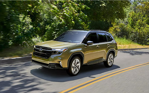 Subaru Forester Hybrid driving on a tree lined road