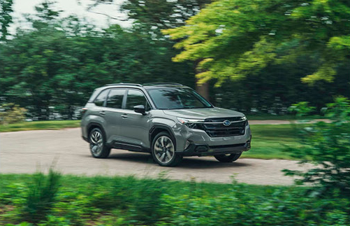 Subaru Forester Hybrid driving on a scenic road surrounded by trees