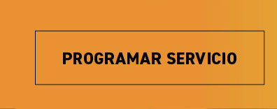 Programar Servicio