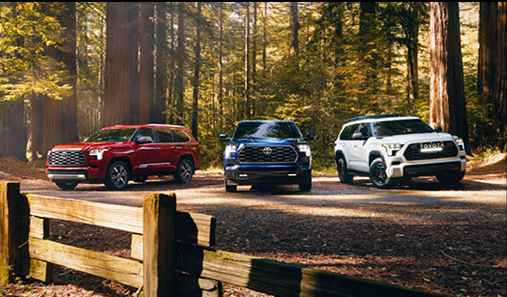 Toyota SUV lineup featuring Sequoia, Grand Highlander, and 4Runner parked in a forest setting