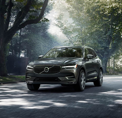 Volvo XC60 SUV driving through a tree-lined road
