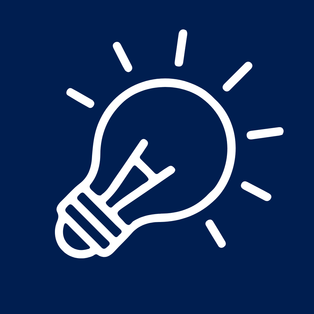 lightbulb icon